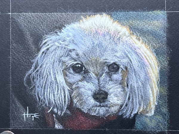 Pet Portrait of Molly by Hope Martin