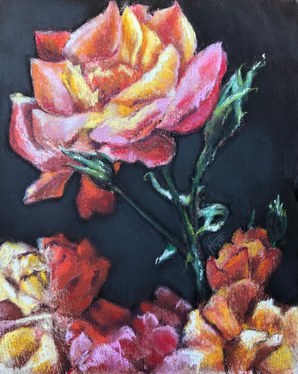 Roses for Lynn by Hope Martin
