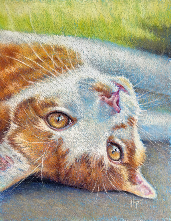 Merry Marmalade by Hope Martin