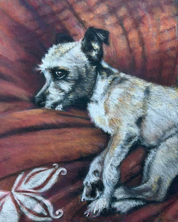 Bandit's Portrait by Hope Martin