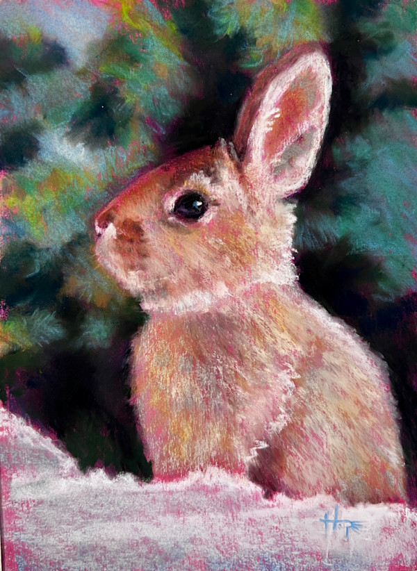 Snow bunny study by Hope Martin