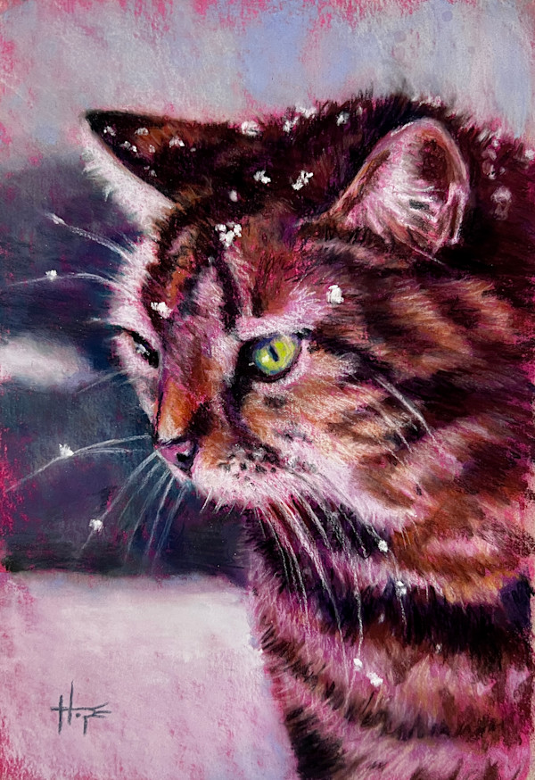 Snow Cat study by Hope Martin