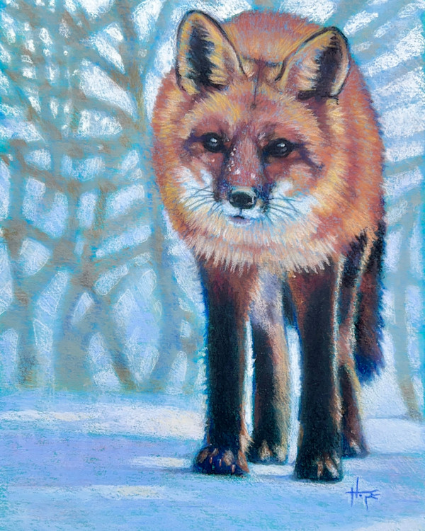 Silent Paws Pause by Hope Martin
