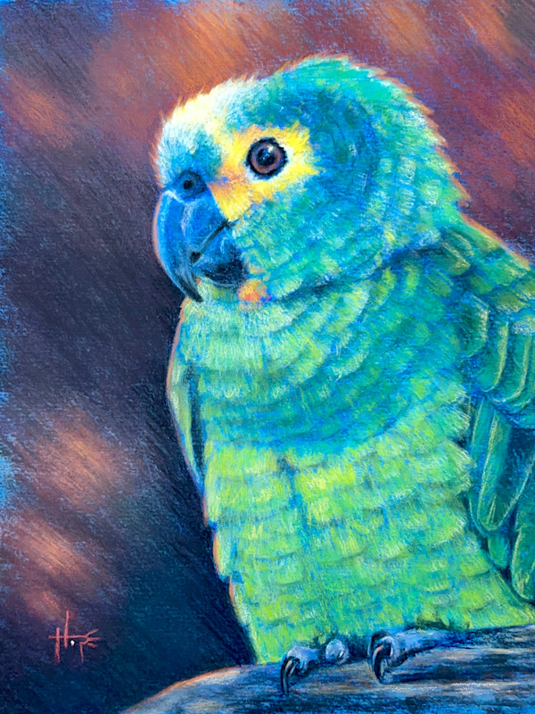 Bonito by Hope Martin