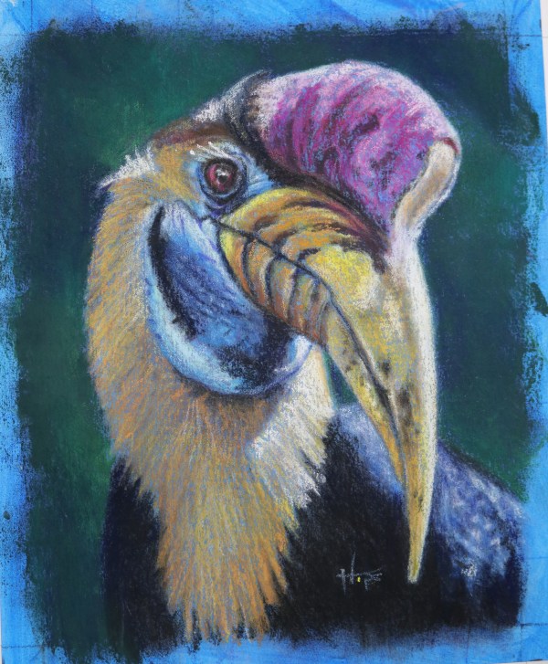 Hornbill study by Hope Martin