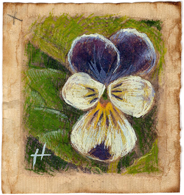 Tiny Bloom by Hope Martin