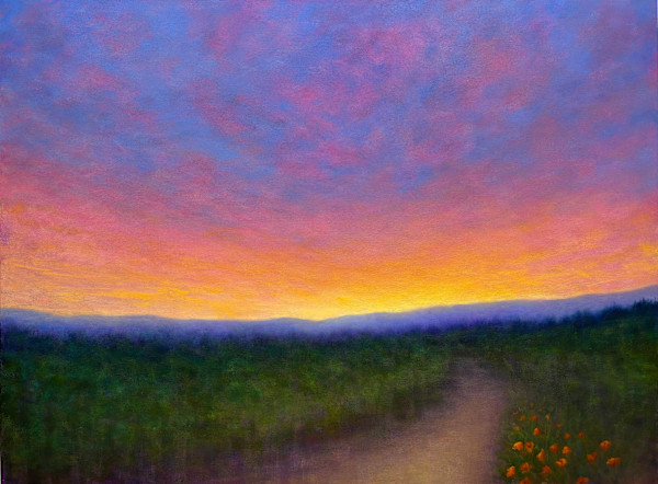 In the Quiet Afterlight by Victoria Veedell