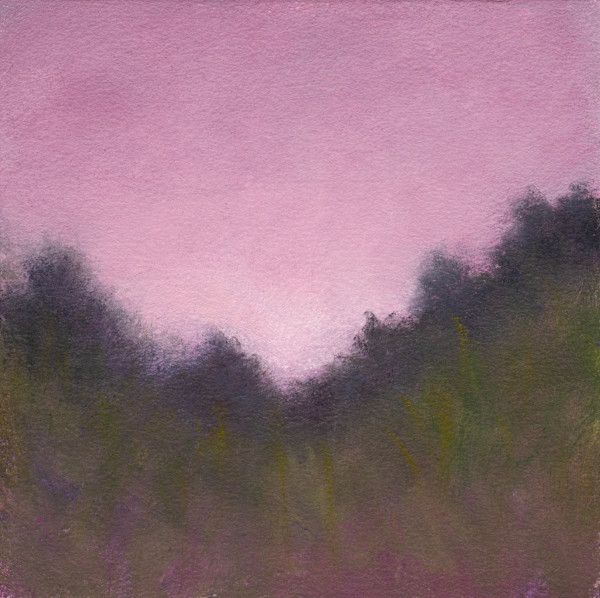 Soft Morning Light by Victoria Veedell