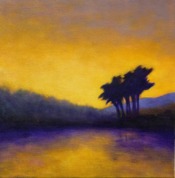 Sunset Cypress by Victoria Veedell