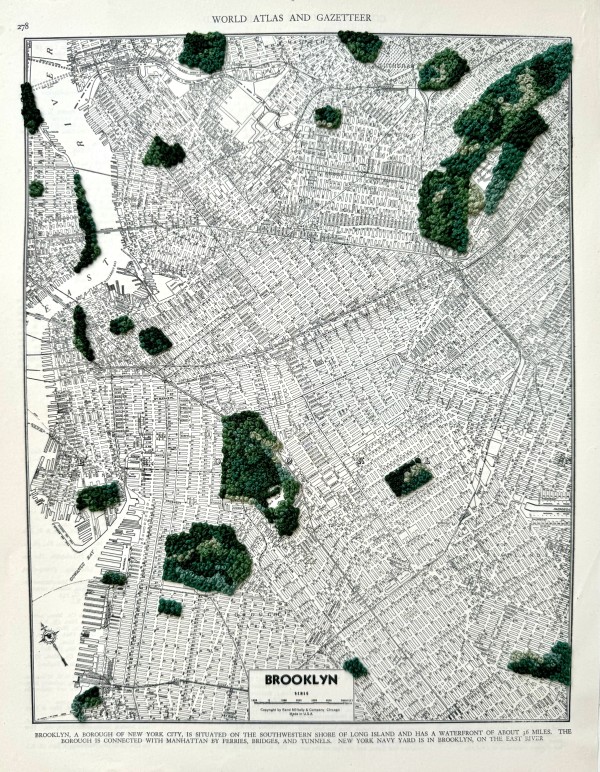 Brooklyn by Ariel Kohn