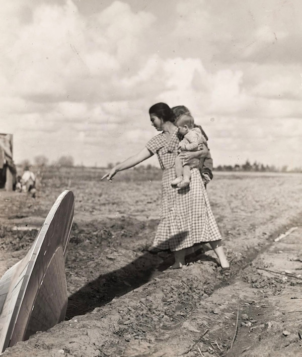 Harvest by Ariel Kohn