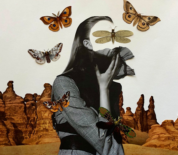 First Flight by Ariel Kohn