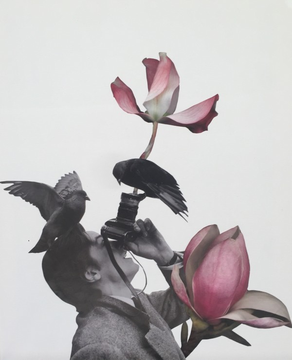 The Capture by Ariel Kohn