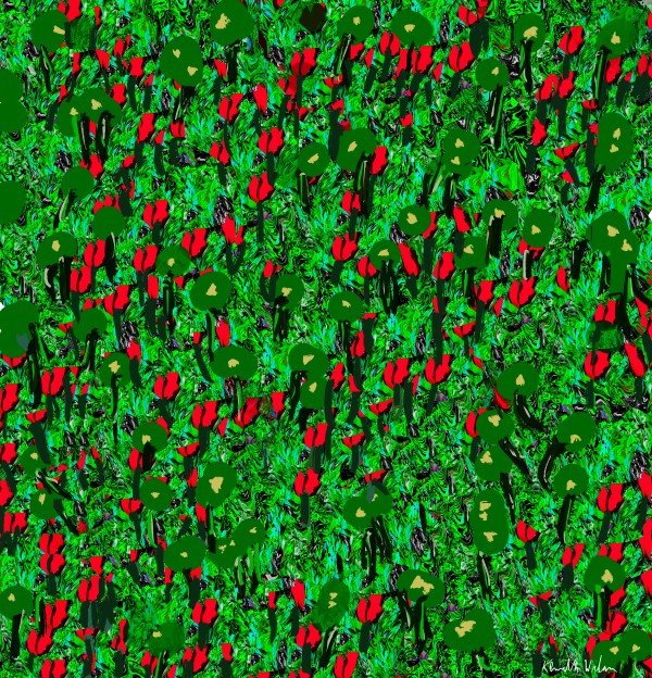 Field of Flowers, 1 by Kenneth Wilan