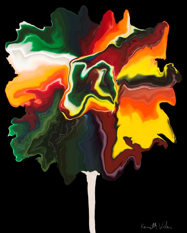 Flower Lollipop by Kenneth Wilan