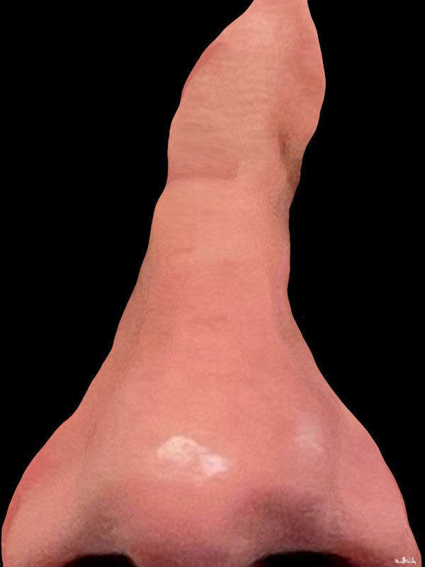 Naked Nose 1 by Kenneth Wilan, Image 3.
