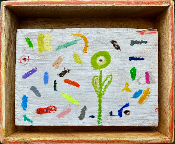 Future Flower In a Box by Borg de Nobel