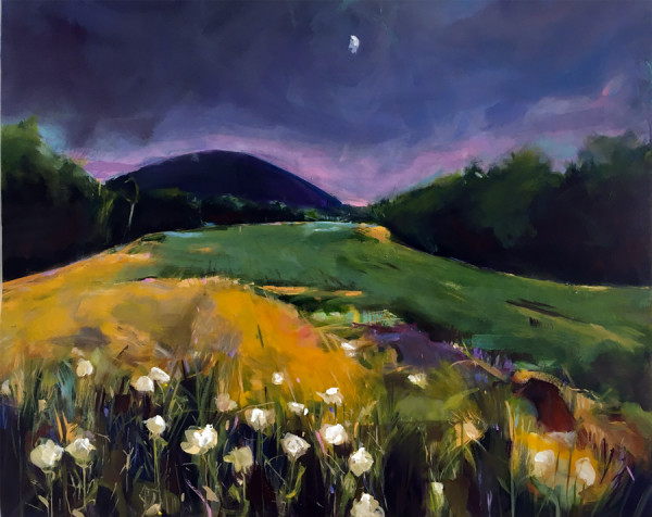 Nightfall Mohican Wilderness by Erica Dornbusch