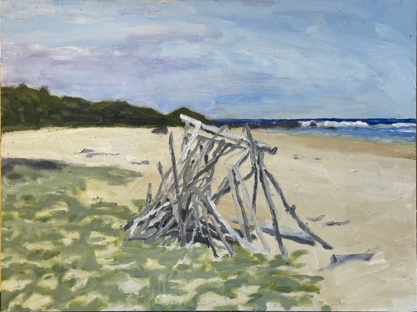 Beached Driftwood by Paul Rolfe
