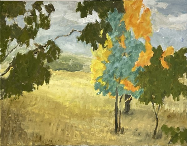 Landscape near Orange by Paul Rolfe