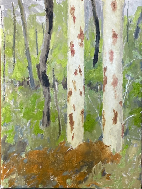 Two Trees by Paul Rolfe