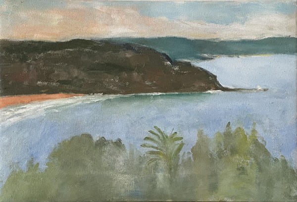 Palm Beach North Head by Paul Rolfe