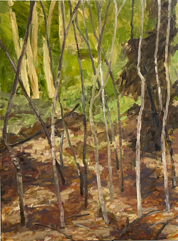 Eucalypt Bushland by Paul Rolfe