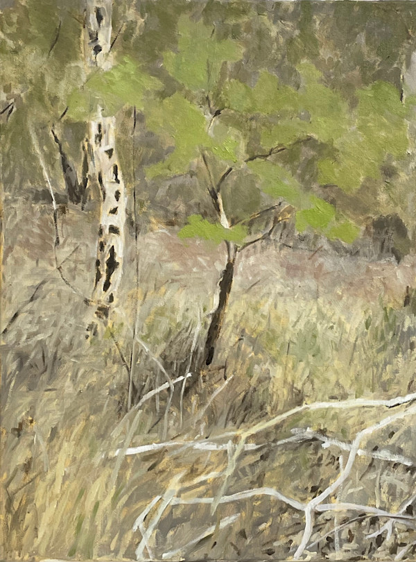 Bushland Scrub by Paul Rolfe