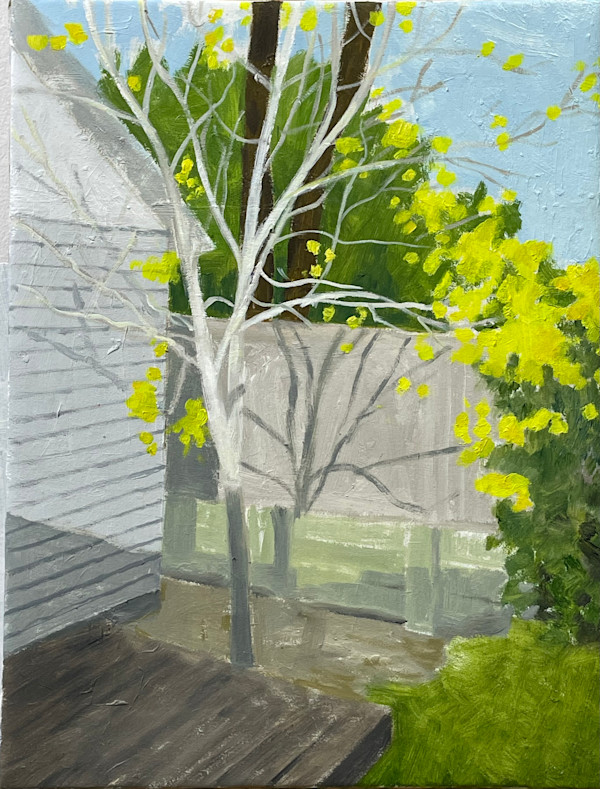 Through the Kitchen Window by Paul Rolfe