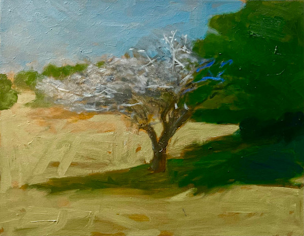 Late winter in Brett Park. by Paul Rolfe, Image 1.