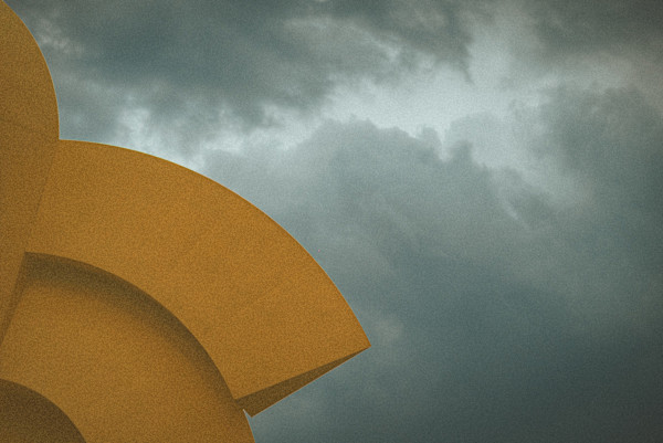 Amarillo by Marisol Cid González