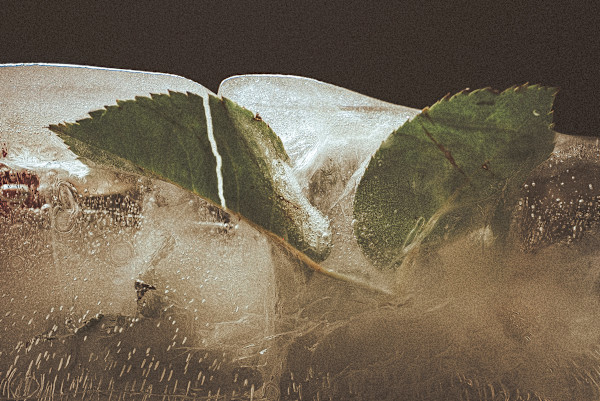 Grietas by Marisol Cid González