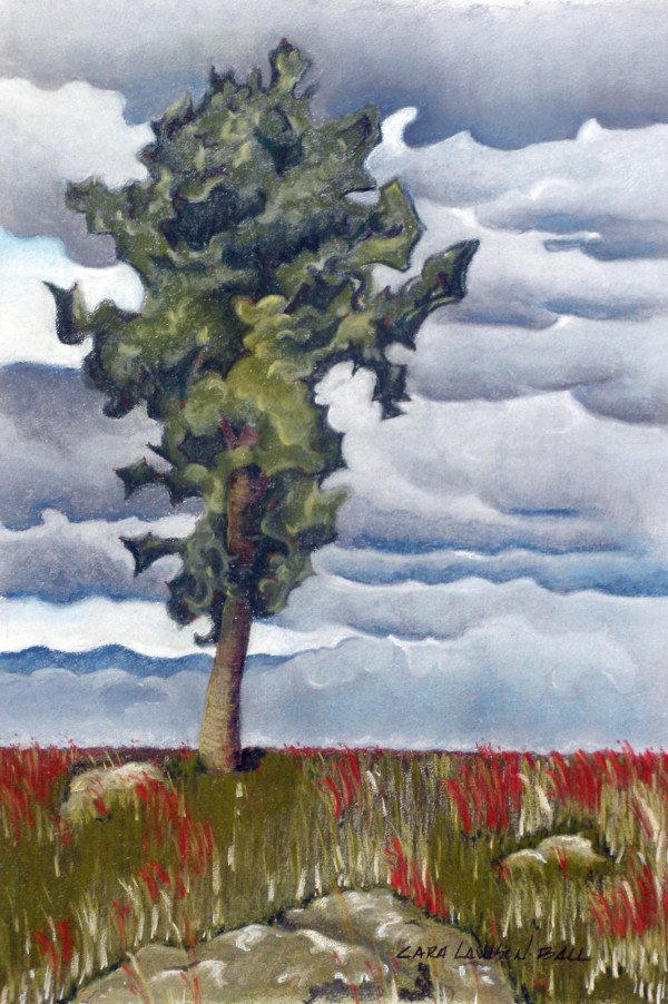 Oak after the Storm by Cara Lawson-Ball