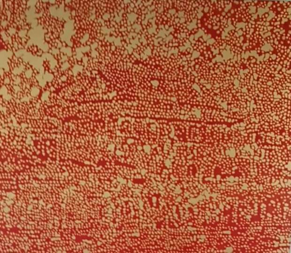 Tiananmen   【天安门】 by Ren Hui, Image 1.