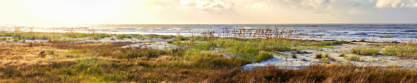 Morning Tide #1 by Joe Fishburne, Image 1.