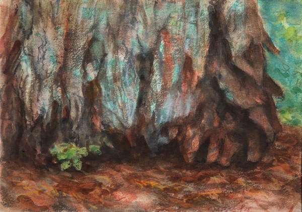 Redwood Study #3 by Michael Zieve