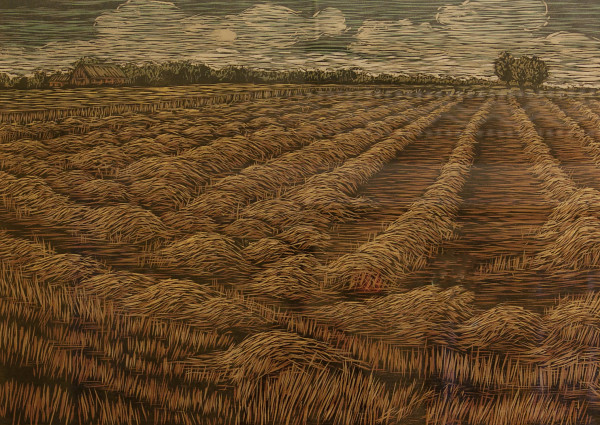 Straw Field by Kim Vito