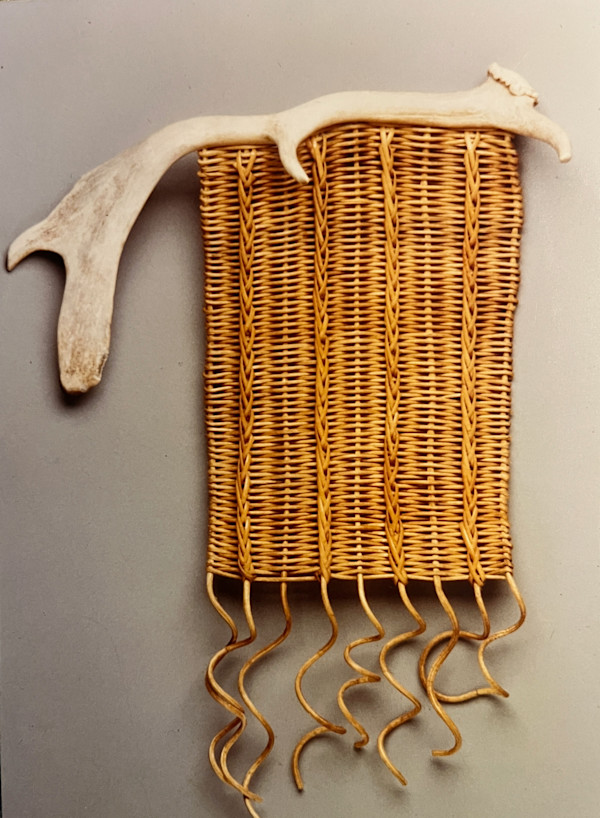 Nature's Influence--Naturally Shed Fallow Deer Antler by Cathryn Peters