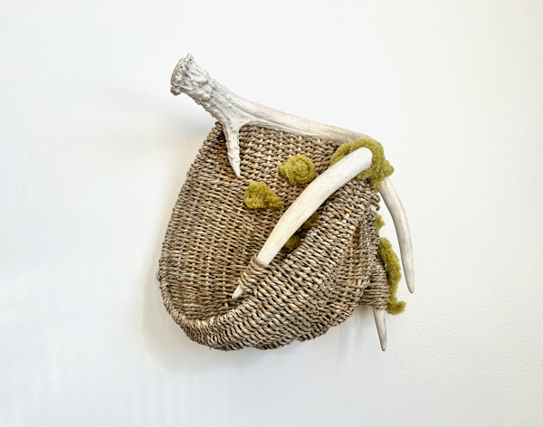 Shed Antler on the Mossy Path--Naturally Shed Whitetail Deer Antler #274/73 by Cathryn Peters