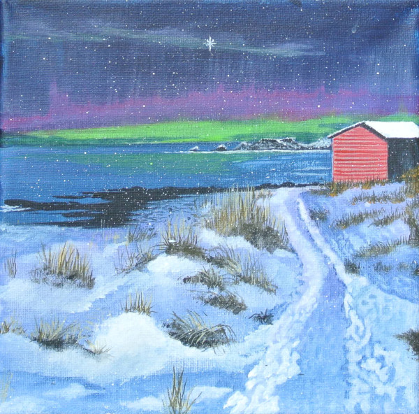 Northern Lights by Lois Dubber