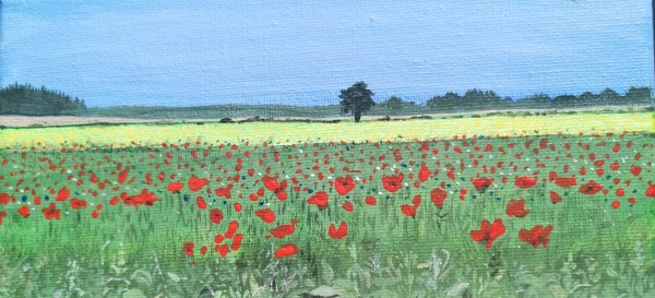Poppies by Lois Dubber