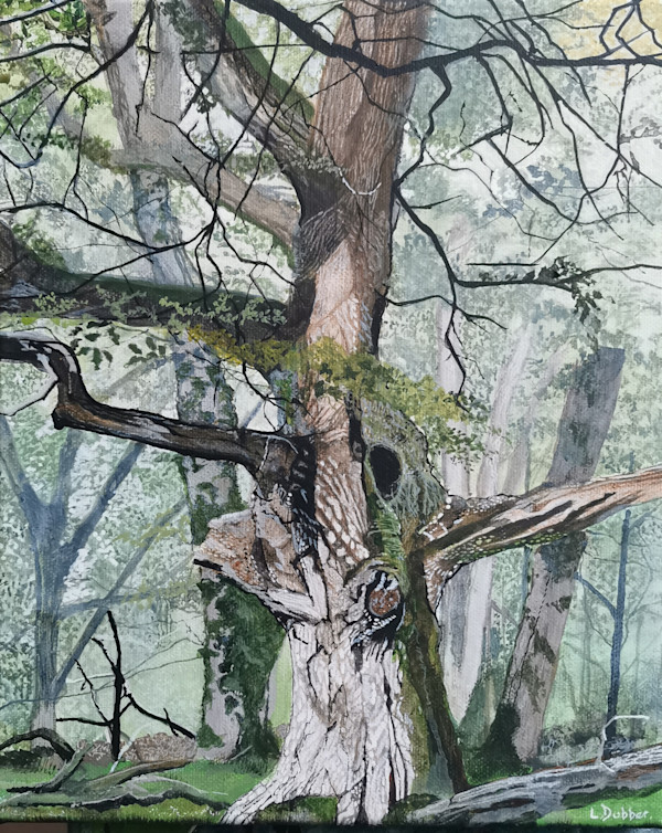 Old oak by Lois Dubber