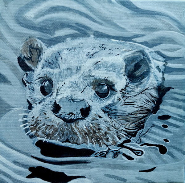 Baby Otter by Lois Dubber
