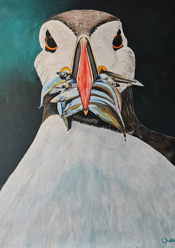 The Puffin by Lois Dubber