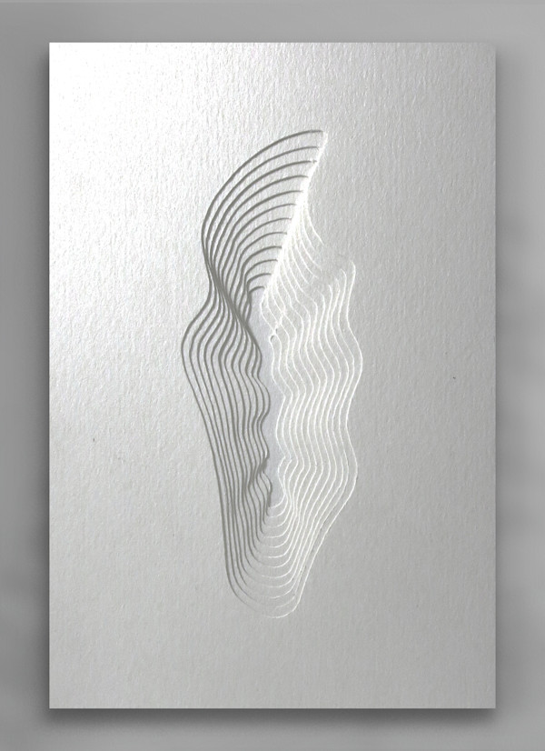 Feather study by Ruth Becker