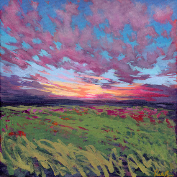 Raspberry Skies by Ruth Becker