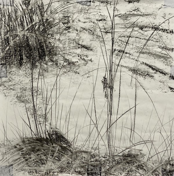 2171, Juanita Bellavance, Sketch 7, From the Chestatee River portfolio, 2021, Charkole on paper, 24 x 24 inches
