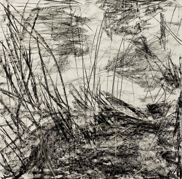 2172, Juanita Bellavance, Sketch 8, From the Chestatee River portfolio, 2021, charkole on vellum, 24 x 24 inches.