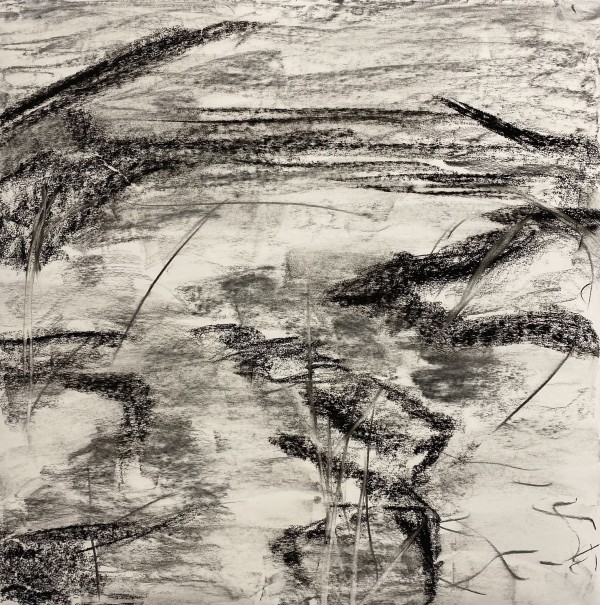 2175, Juanita Bellavance, Sketch 12, From the Chestatee River portfolio, 2021, Charkole on paper, 24 x 24 inches