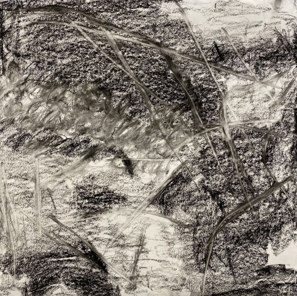 2176, Juanita Bellavance, Sketch 13, From the Chestatee collection, 2021, Charkole, 24 x 24 inches